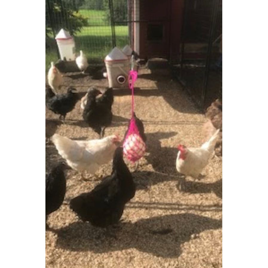 Chicken Treat Net w/Rings – Ranchmans Farm & Feed Store